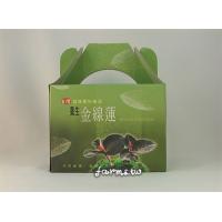 [日月潭東光金線蓮園區] 養生金線蓮茶包15包(小)*1盒~有效期至2025年1月