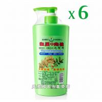 雲林縣農特產生薑肉桂洗髮精500ml*6瓶